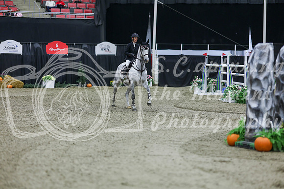 2025 - Shea - Royal West - Thursday October 23rd - 11540