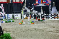 2025 - Shea - Royal West - Thursday October 23rd - 11549