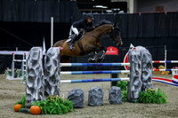 2025 - Shea - Royal West - Thursday October 23rd - 12223
