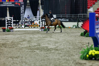 2025 - Shea - Royal West - Thursday October 23rd - 12227