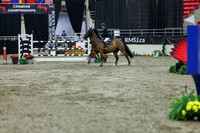 2025 - Shea - Royal West - Thursday October 23rd - 12229