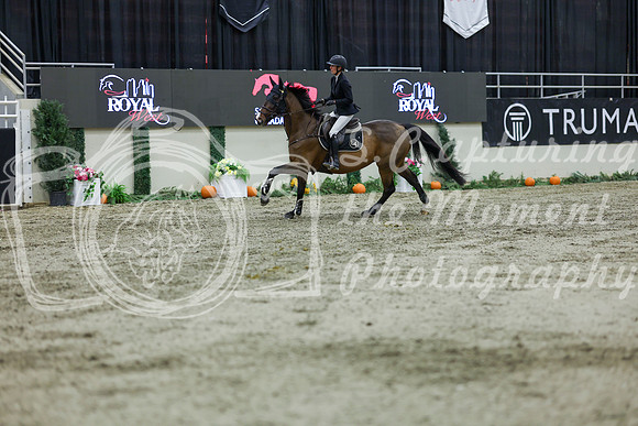 2025 - Shea - Royal West - Thursday October 23rd - 12238