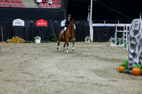 2025 - Shea - Royal West - Thursday October 23rd - 11134