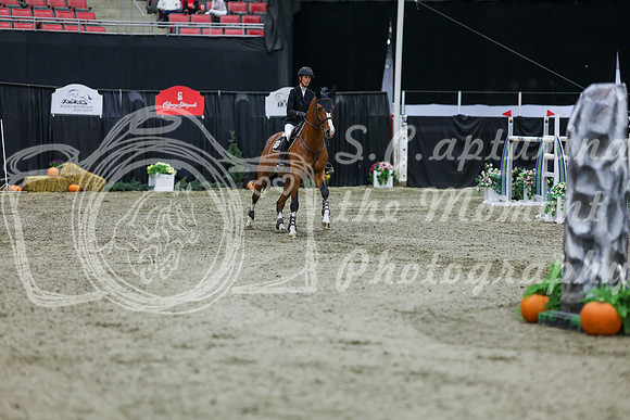 2025 - Shea - Royal West - Thursday October 23rd - 11135