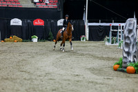 2025 - Shea - Royal West - Thursday October 23rd - 11136