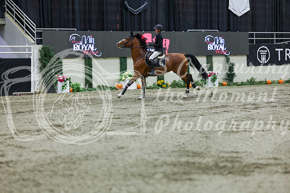 2025 - Shea - Royal West - Thursday October 23rd - 11155
