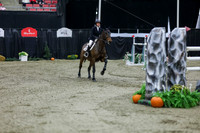 2025 - Shea - Royal West - Thursday October 23rd - 11765