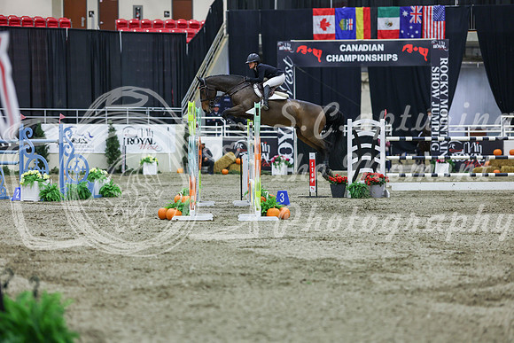 2025 - Shea - Royal West - Thursday October 23rd - 11775