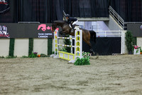 2025 - Shea - Royal West - Thursday October 23rd - 11780