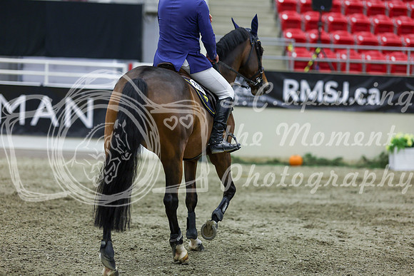 2025 - Shea - Royal West - Thursday October 23rd - 12285