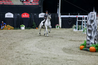 2025 - Shea - Royal West - Thursday October 23rd - 10737