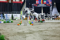 2025 - Shea - Royal West - Thursday October 23rd - 10745