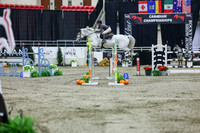 2025 - Shea - Royal West - Thursday October 23rd - 10750