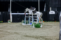 2025 - Shea - Royal West - Thursday October 23rd - 10755
