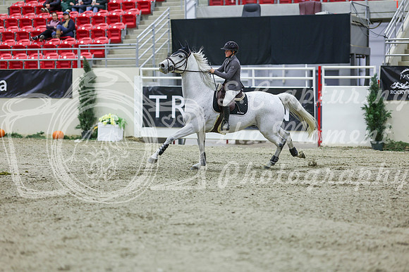 2025 - Shea - Royal West - Thursday October 23rd - 10763