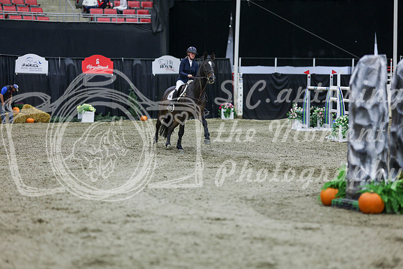 2025 - Shea - Royal West - Thursday October 23rd - 11368