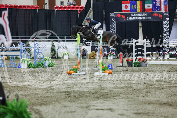 2025 - Shea - Royal West - Thursday October 23rd - 11379