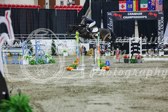 2025 - Shea - Royal West - Thursday October 23rd - 11380