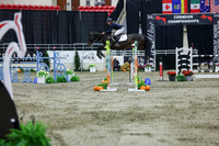 2025 - Shea - Royal West - Thursday October 23rd - 11382