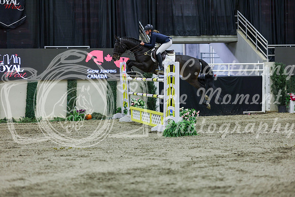2025 - Shea - Royal West - Thursday October 23rd - 11385