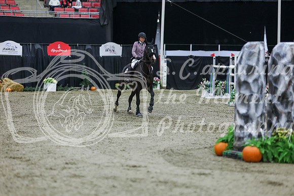 2025 - Shea - Royal West - Thursday October 23rd - 11050