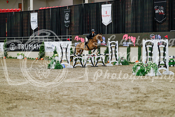2025 - Haylee - Royal West - Friday October 24th - 00241