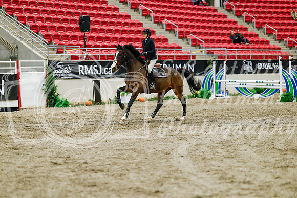 2025 - Haylee - Royal West - Friday October 24th - 00979