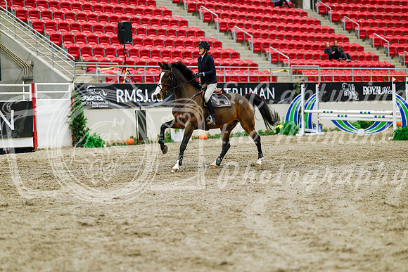 2025 - Haylee - Royal West - Friday October 24th - 00980