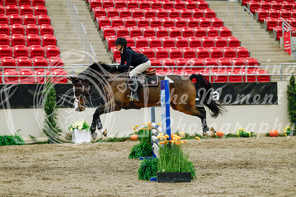 2025 - Haylee - Royal West - Friday October 24th - 00992