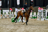 2025 - Haylee - Royal West - Friday October 24th - 00285