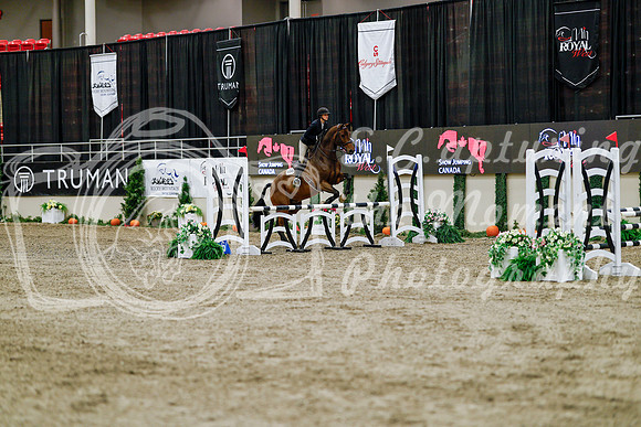 2025 - Haylee - Royal West - Friday October 24th - 00307