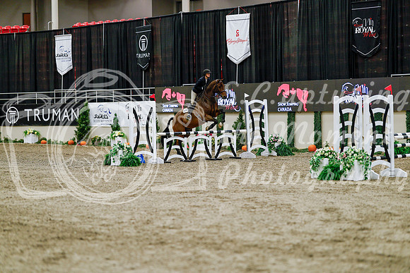 2025 - Haylee - Royal West - Friday October 24th - 00308