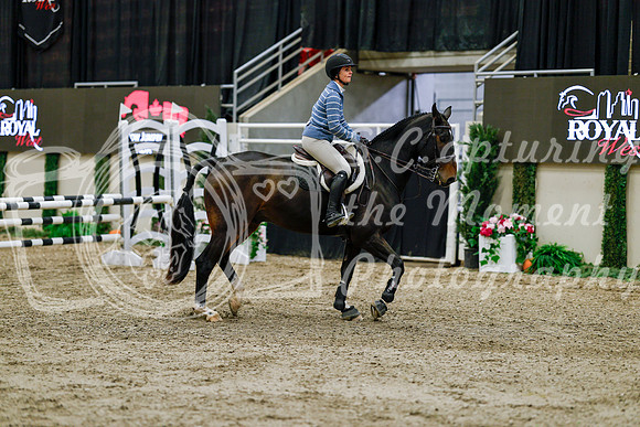 2025 - Haylee - Royal West - Friday October 24th - 00356