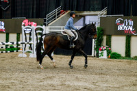 2025 - Haylee - Royal West - Friday October 24th - 00358