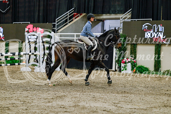 2025 - Haylee - Royal West - Friday October 24th - 00359