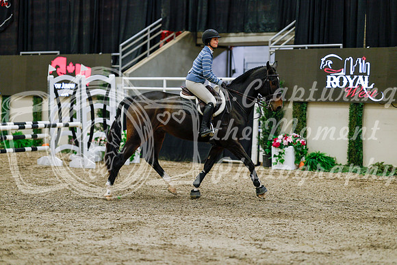 2025 - Haylee - Royal West - Friday October 24th - 00361