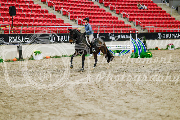 2025 - Haylee - Royal West - Friday October 24th - 00371