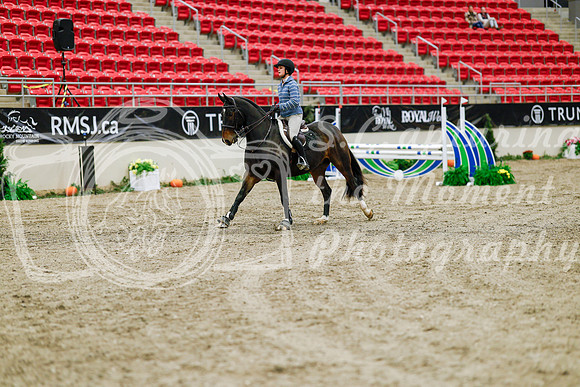 2025 - Haylee - Royal West - Friday October 24th - 00374