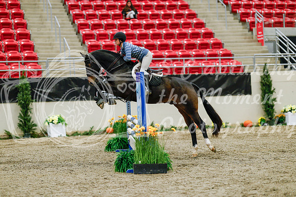 2025 - Haylee - Royal West - Friday October 24th - 00380