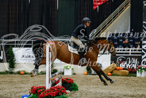 2025 - Haylee - Royal West - Friday October 24th - 00501