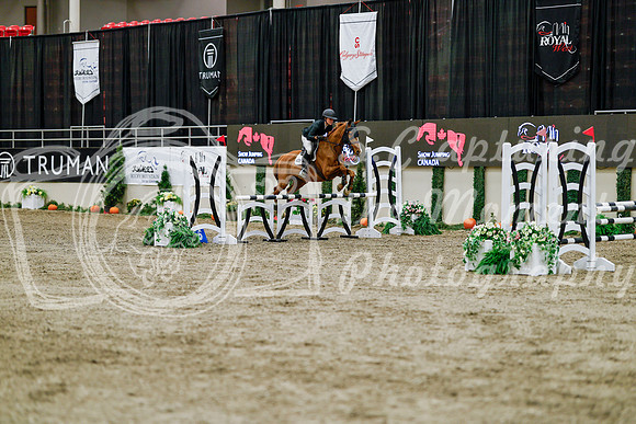 2025 - Haylee - Royal West - Friday October 24th - 00572