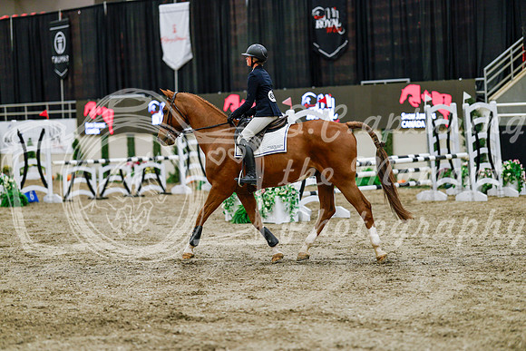 2025 - Haylee - Royal West - Friday October 24th - 00644