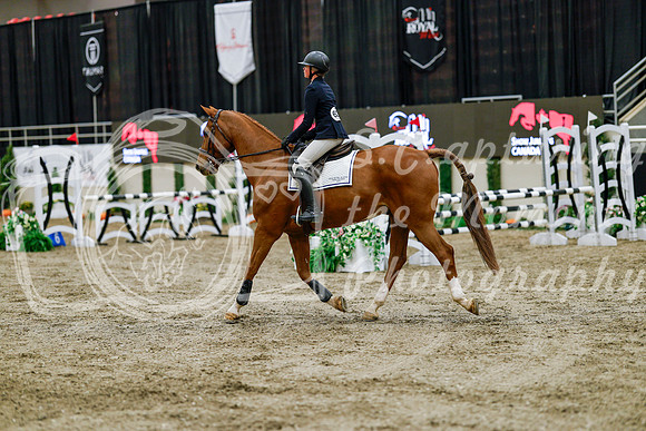 2025 - Haylee - Royal West - Friday October 24th - 00646