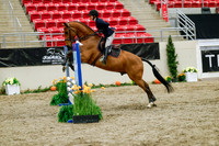 2025 - Haylee - Royal West - Friday October 24th - 00751