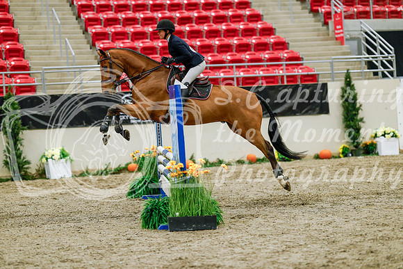 2025 - Haylee - Royal West - Friday October 24th - 00755