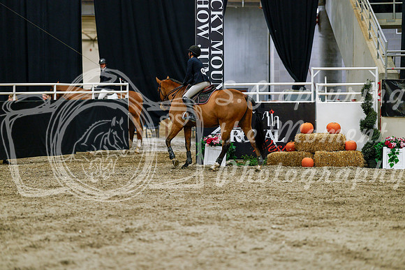 2025 - Haylee - Royal West - Friday October 24th - 00806
