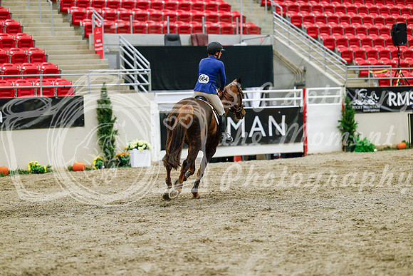 2025 - Haylee - Royal West - Friday October 24th - 00811