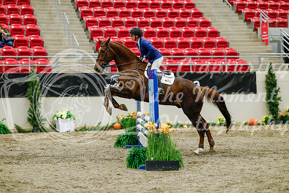 2025 - Haylee - Royal West - Friday October 24th - 00826