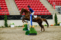 2025 - Haylee - Royal West - Friday October 24th - 00825