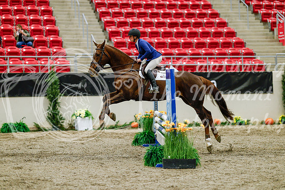 2025 - Haylee - Royal West - Friday October 24th - 00829
